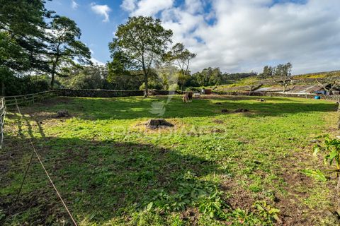 Byhus i Angra do Heroismo, Terceira, Angra do Heroismo - € 450.000 | Ref: 042920 - foto 7