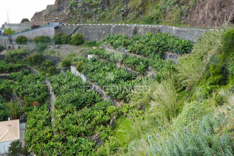 Helårsgrund i Calheta, Madeira, Calheta - € 425.000 | Ref: 043263 - foto 1