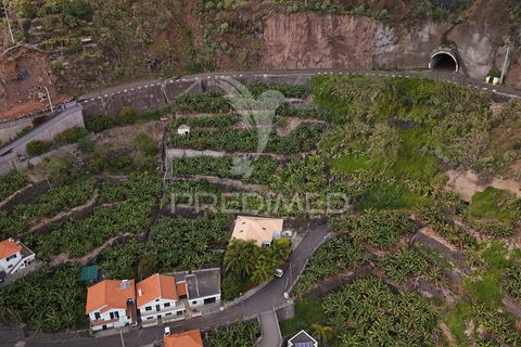 Helårsgrund i Calheta, Madeira, Calheta - € 425.000 | Ref: 043263 - foto 2