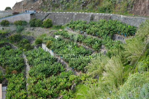 Helårsgrund i Calheta, Madeira, Calheta - € 425.000 | Ref: 043263 - foto 3