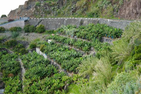 Helårsgrund i Calheta, Madeira, Calheta - € 425.000 | Ref: 043263 - foto 5