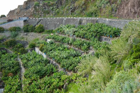Helårsgrund i Calheta, Madeira, Calheta - € 425.000 | Ref: 043263 - foto 7