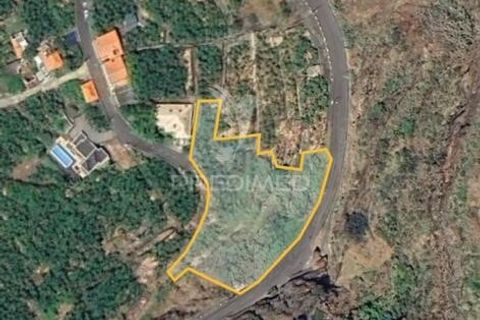 Helårsgrund i Calheta, Madeira, Calheta - € 425.000 | Ref: 043263 - foto 9