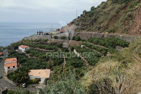 Helårsgrund i Calheta, Madeira, Calheta - € 425.000 | Ref: 043263 - foto 12