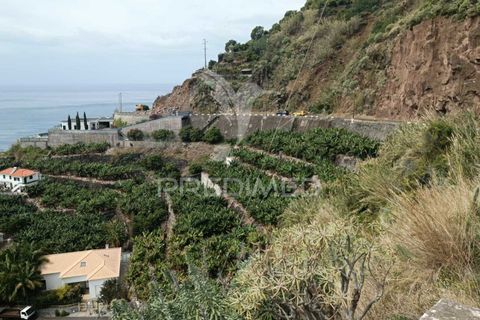 Helårsgrund i Calheta, Madeira, Calheta - € 425.000 | Ref: 043263 - foto 13