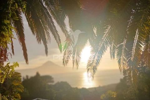 Byhus i Velas, Sao Jorge, Velas - € 750.000 | Ref: 043669 - foto 37