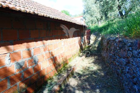 Landejendom i Vila Real, Vila Real, Vila Real - € 25.000 | Ref: 044536 - foto 18
