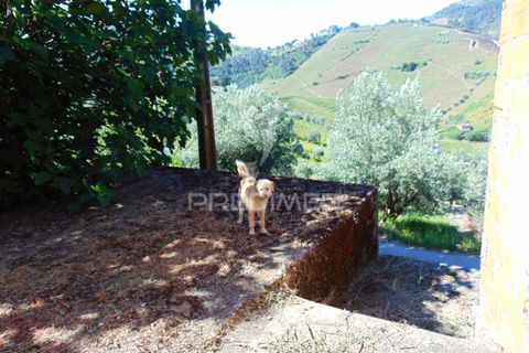 Landejendom i Vila Real, Vila Real, Vila Real - € 25.000 | Ref: 044536 - foto 26