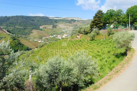 Landejendom i Vila Real, Vila Real, Vila Real - € 25.000 | Ref: 044536 - foto 33