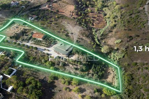 Helårsgrund i Alenquer, Lisbon, Alenquer - € 1.500.000 | Ref: 044561 - foto 1