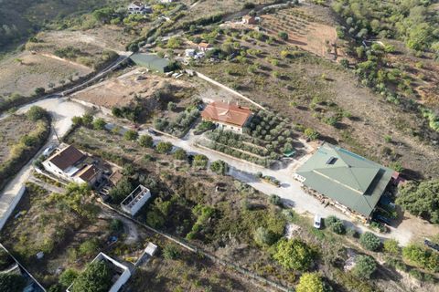 Helårsgrund i Alenquer, Lisbon, Alenquer - € 1.500.000 | Ref: 044561 - foto 7
