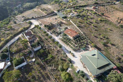 Helårsgrund i Alenquer, Lisbon, Alenquer - € 1.500.000 | Ref: 044561 - foto 8