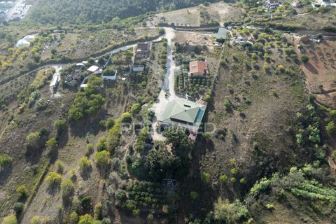Helårsgrund i Alenquer, Lisbon, Alenquer - € 1.500.000 | Ref: 044561 - foto 9