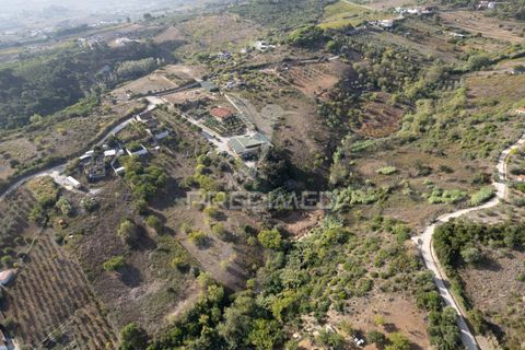 Helårsgrund i Alenquer, Lisbon, Alenquer - € 1.500.000 | Ref: 044561 - foto 10