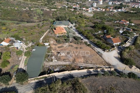 Helårsgrund i Alenquer, Lisbon, Alenquer - € 1.500.000 | Ref: 044561 - foto 13