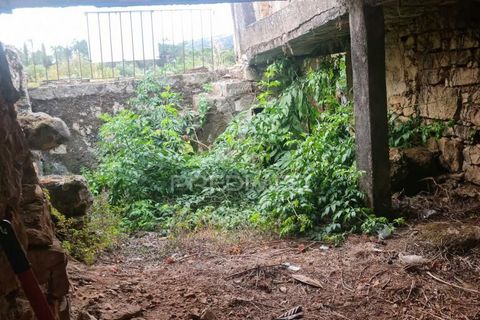Byhus i Condeixa-a-Nova, Coimbra, Condeixa-a-Nova - € 19.000 | Ref: 044647 - foto 6