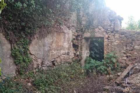 Byhus i Condeixa-a-Nova, Coimbra, Condeixa-a-Nova - € 19.000 | Ref: 044647 - foto 7