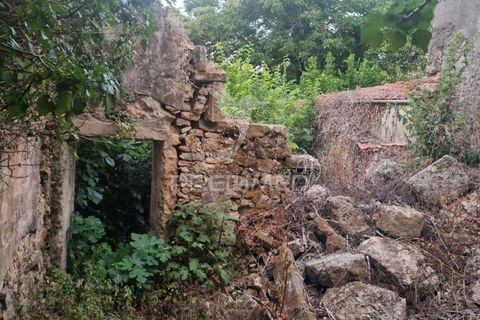 Byhus i Condeixa-a-Nova, Coimbra, Condeixa-a-Nova - € 19.000 | Ref: 044647 - foto 9