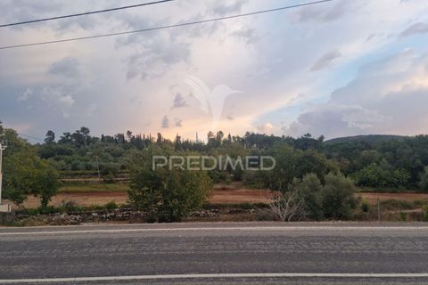 Byhus i Condeixa-a-Nova, Coimbra, Condeixa-a-Nova - € 19.000 | Ref: 044647 - foto 12