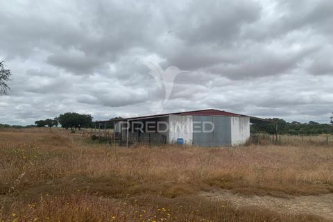 Masia a Almodovar, Beja, Almodovar - € 1.000.000 | Ref: 044682 - foto 2