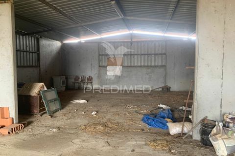 Masia a Almodovar, Beja, Almodovar - € 1.000.000 | Ref: 044682 - foto 4