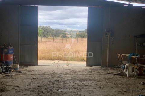 Masia a Almodovar, Beja, Almodovar - € 1.000.000 | Ref: 044682 - foto 7