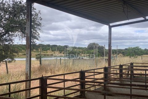 Masia a Almodovar, Beja, Almodovar - € 1.000.000 | Ref: 044682 - foto 9