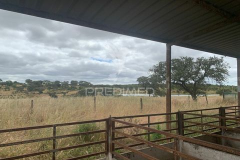Masia a Almodovar, Beja, Almodovar - € 1.000.000 | Ref: 044682 - foto 10