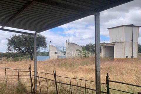 Masia a Almodovar, Beja, Almodovar - € 1.000.000 | Ref: 044682 - foto 12