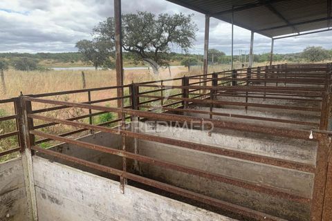 Masia a Almodovar, Beja, Almodovar - € 1.000.000 | Ref: 044682 - foto 13
