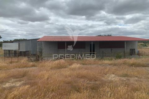 Masia a Almodovar, Beja, Almodovar - € 1.000.000 | Ref: 044682 - foto 15