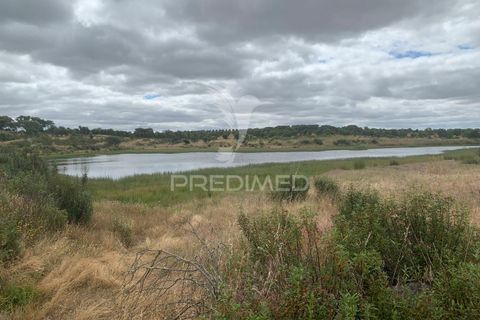 Masia a Almodovar, Beja, Almodovar - € 1.000.000 | Ref: 044682 - foto 16
