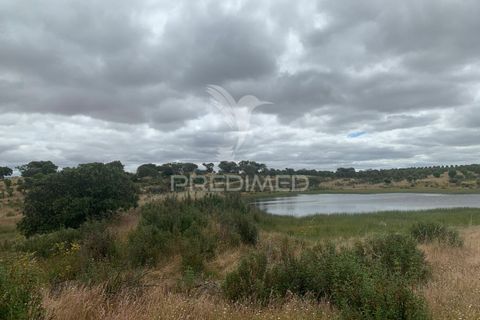 Masia a Almodovar, Beja, Almodovar - € 1.000.000 | Ref: 044682 - foto 17