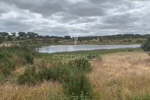 Masia a Almodovar, Beja, Almodovar - € 1.000.000 | Ref: 044682 - foto 18