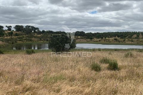 Masia a Almodovar, Beja, Almodovar - € 1.000.000 | Ref: 044682 - foto 19