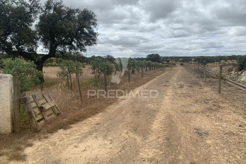 Masia a Almodovar, Beja, Almodovar - € 1.000.000 | Ref: 044682 - foto 20