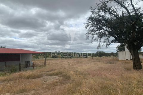 Masia a Almodovar, Beja, Almodovar - € 1.000.000 | Ref: 044682 - foto 22