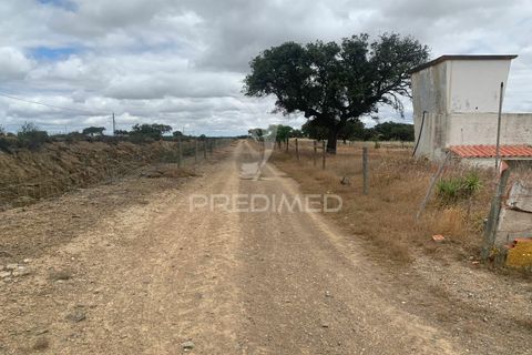 Masia a Almodovar, Beja, Almodovar - € 1.000.000 | Ref: 044682 - foto 23
