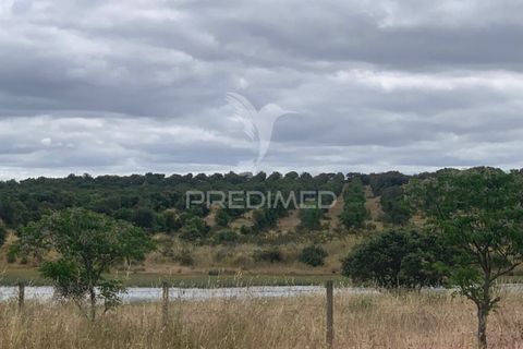 Masia a Almodovar, Beja, Almodovar - € 1.000.000 | Ref: 044682 - foto 24