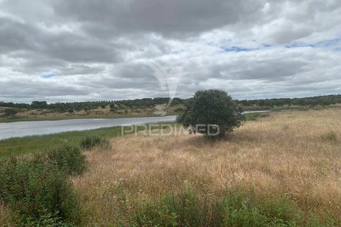 Masia a Almodovar, Beja, Almodovar - € 1.000.000 | Ref: 044682 - foto 25