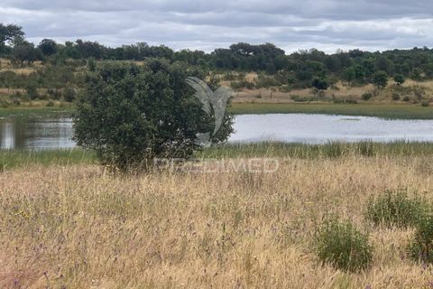 Masia a Almodovar, Beja, Almodovar - € 1.000.000 | Ref: 044682 - foto 26
