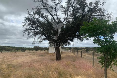 Masia a Almodovar, Beja, Almodovar - € 1.000.000 | Ref: 044682 - foto 31