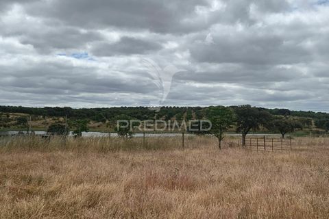 Masia a Almodovar, Beja, Almodovar - € 1.000.000 | Ref: 044682 - foto 32