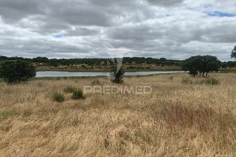 Masia a Almodovar, Beja, Almodovar - € 1.000.000 | Ref: 044682 - foto 33