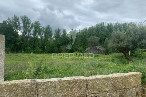 Helårsgrund i Fafe, Braga, Fafe - € 100.000 | Ref: 045165 - foto 3