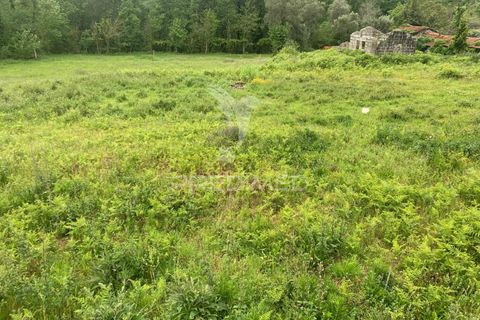Helårsgrund i Fafe, Braga, Fafe - € 100.000 | Ref: 045165 - foto 7