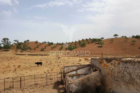 Farm hus i Castro Marim, Faro, Castro Marim - € 6.644.670 | Ref: 045220 - foto 11