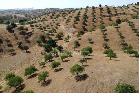 Farm hus i Castro Marim, Faro, Castro Marim - € 6.644.670 | Ref: 045220 - foto 26