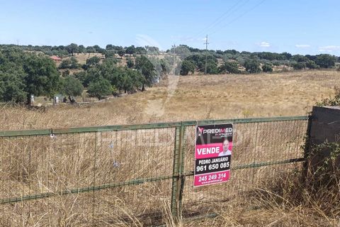 Terra a Nisa, Portalegre, Nisa - € 25.000 | Ref: 045991 - foto 2