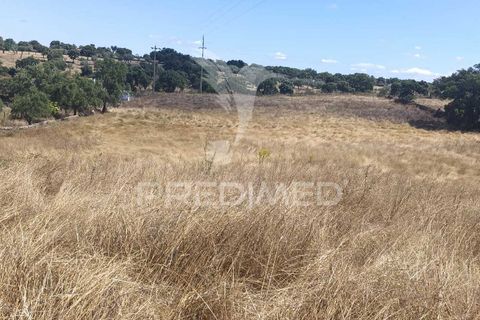 Terra a Nisa, Portalegre, Nisa - € 25.000 | Ref: 045991 - foto 3